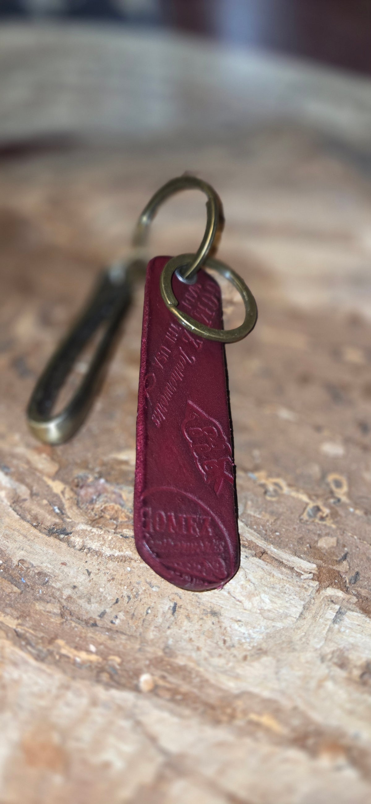 The Sentry Key Hook